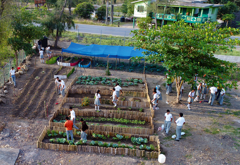 Sustainable “backyards”
