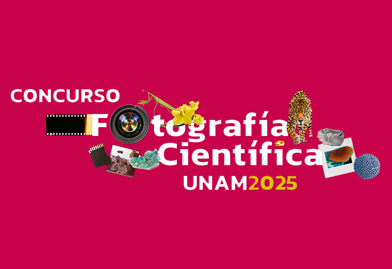 CONOCE A LOS GANADORES